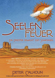 SeelenfeuerCover